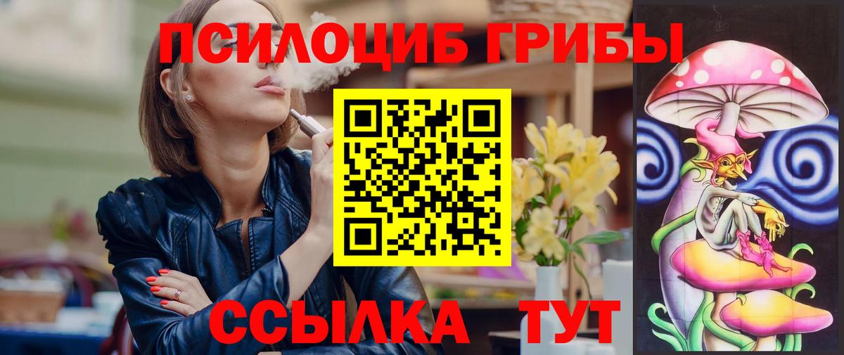 Михайловка  Псилоцибиновые грибы мухоморы  Вход с VPN 